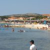 Vir – Pedinka - photo 1