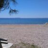 Pedinka - photo 6
