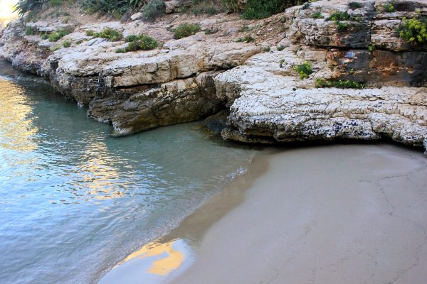 Porat – Biševo - photo 40