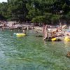 Zamalin - photo 25