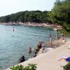 Zamalin - photo 28