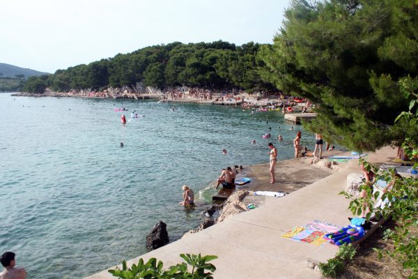 Zamalin - photo 28