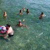 Zamalin - photo 31