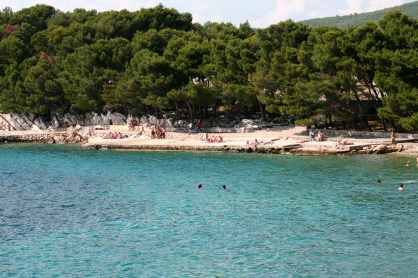 Zamalin - photo 33