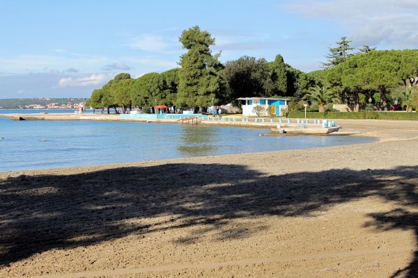 Borik - photo 17