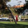 Borik - photo 27