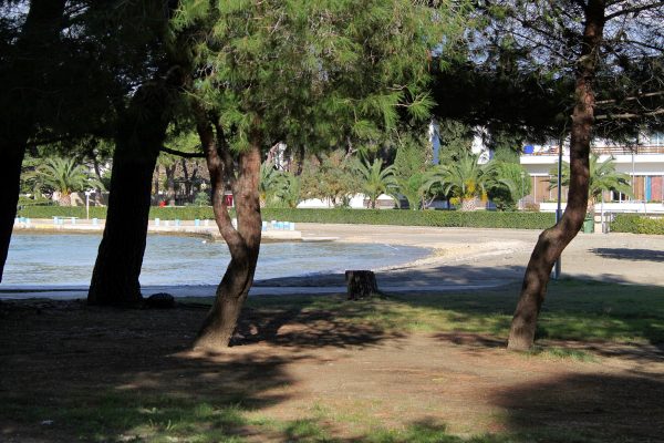 Borik - photo 29