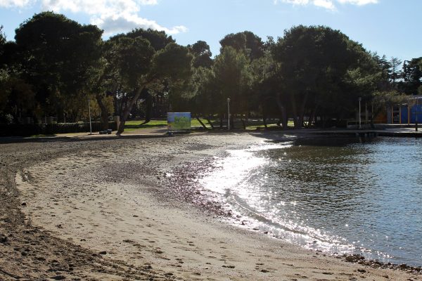 Borik - photo 18