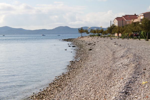 Borik - photo 19