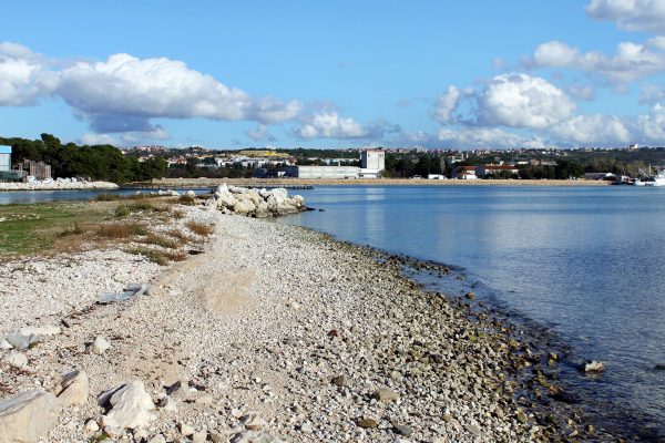 Borik - photo 20