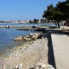 Borik - photo 22