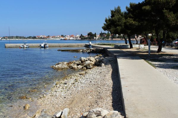 Borik - photo 22