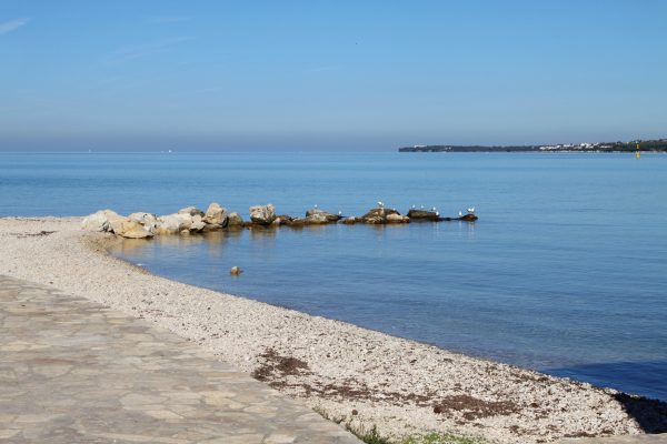 Borik - photo 23