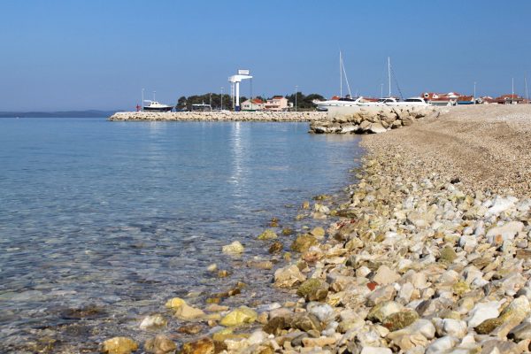 Borik - photo 25