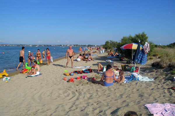 Prodorica
