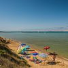 Privlaka - photo 10