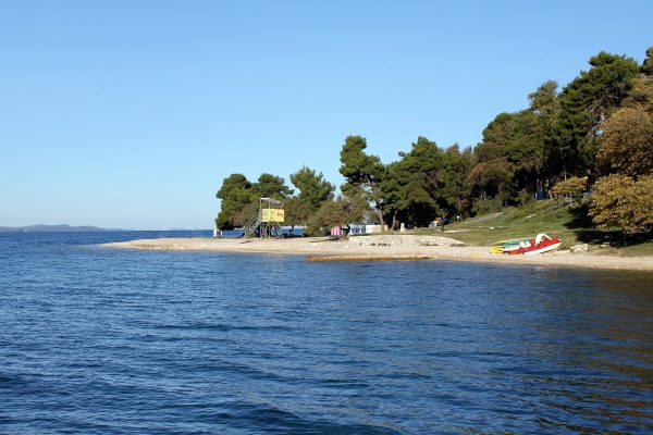 Borik - photo 10