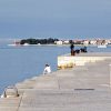 Borik - photo 11