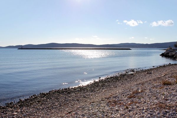 Borik - photo 12