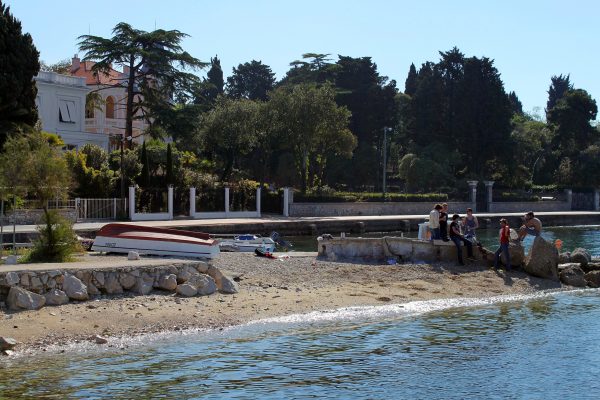 Borik - photo 13