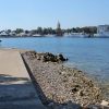 Borik - photo 14