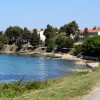 Borik - photo 15