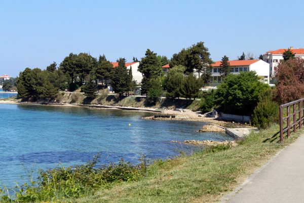 Borik - photo 15