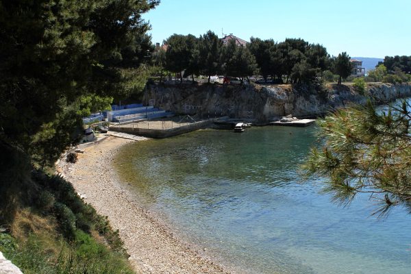 Borik - photo 2