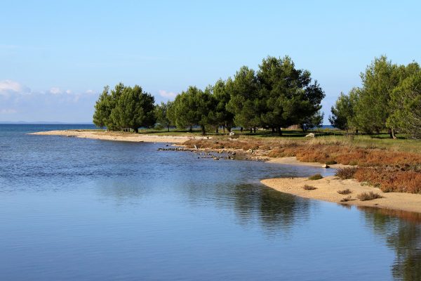 Zaton - photo 8