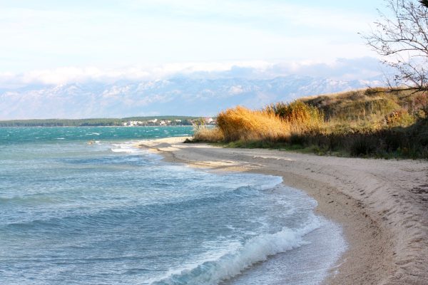 Zukve - photo 9