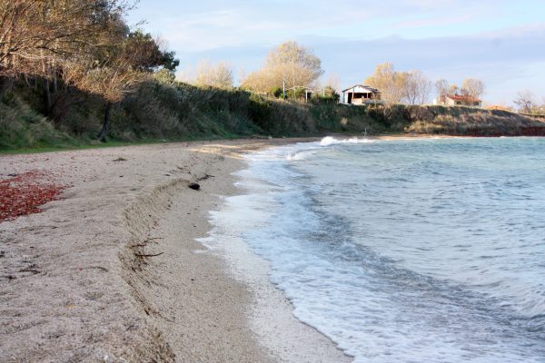 Zukve - photo 10