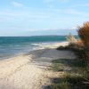 Zukve - photo 11