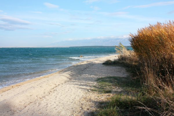 Zukve - photo 11