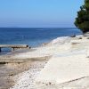 Pineta - photo 17