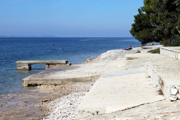 Pineta - photo 17