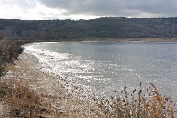 Plemići - photo 12
