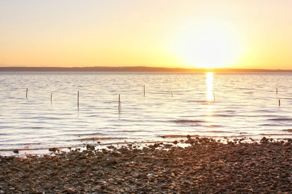 Rtina - photo 6