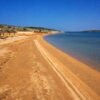 Mulo - photo 11
