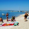 Mulo - photo 13