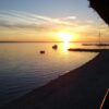 Mulo - photo 16